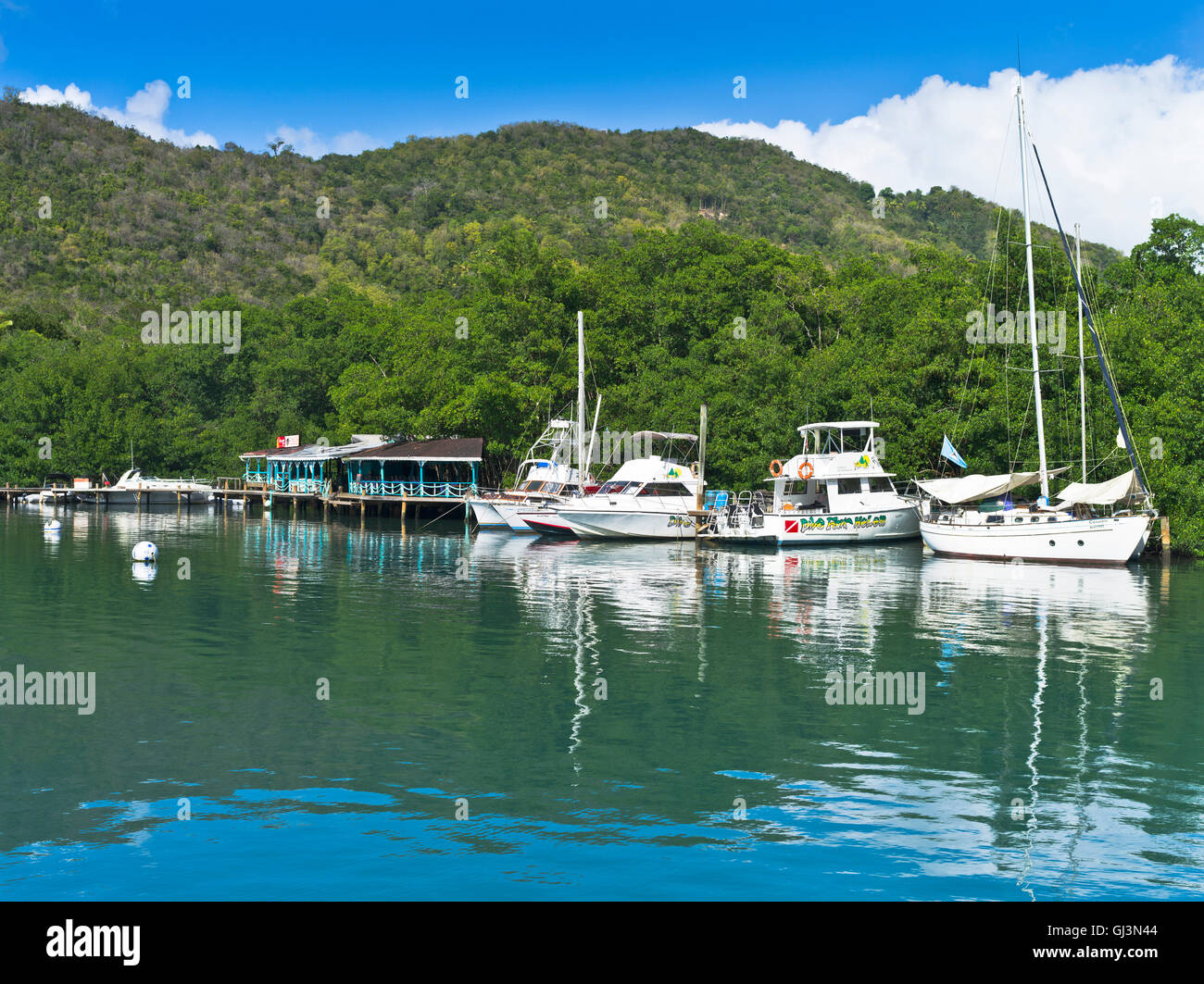 dh Marigot Hafen St. LUCIA Karibik Yachten festgemacht Karibik marina Stockfoto
