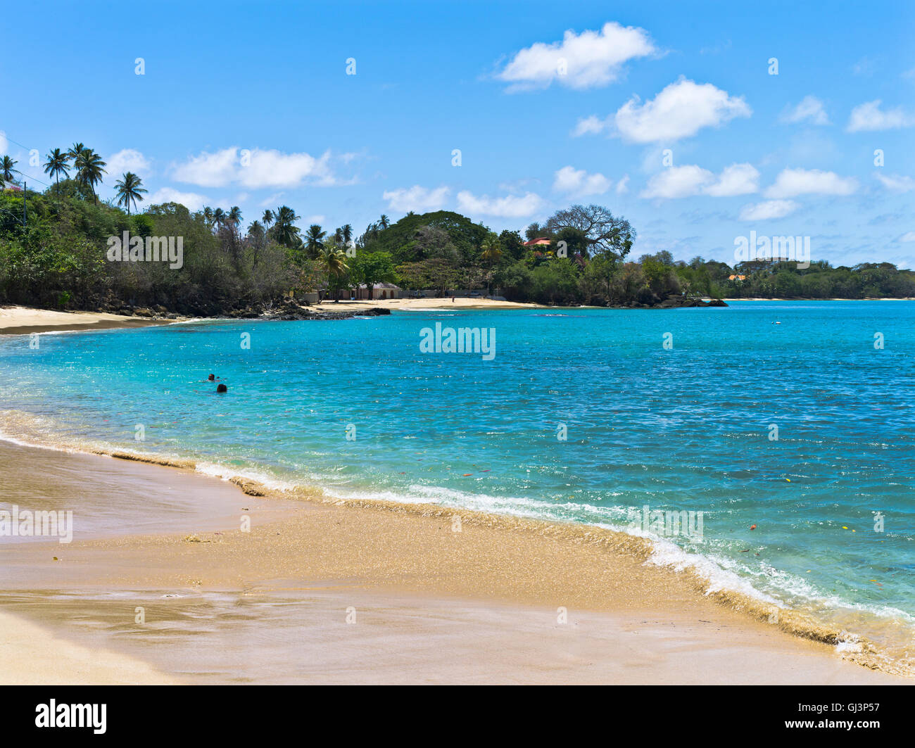dh Great Courland Bay TOBAGO KARIBIK Karibik Inseln Sand Strand blau Meer Bucht Küste antillen West indies Insel Stockfoto