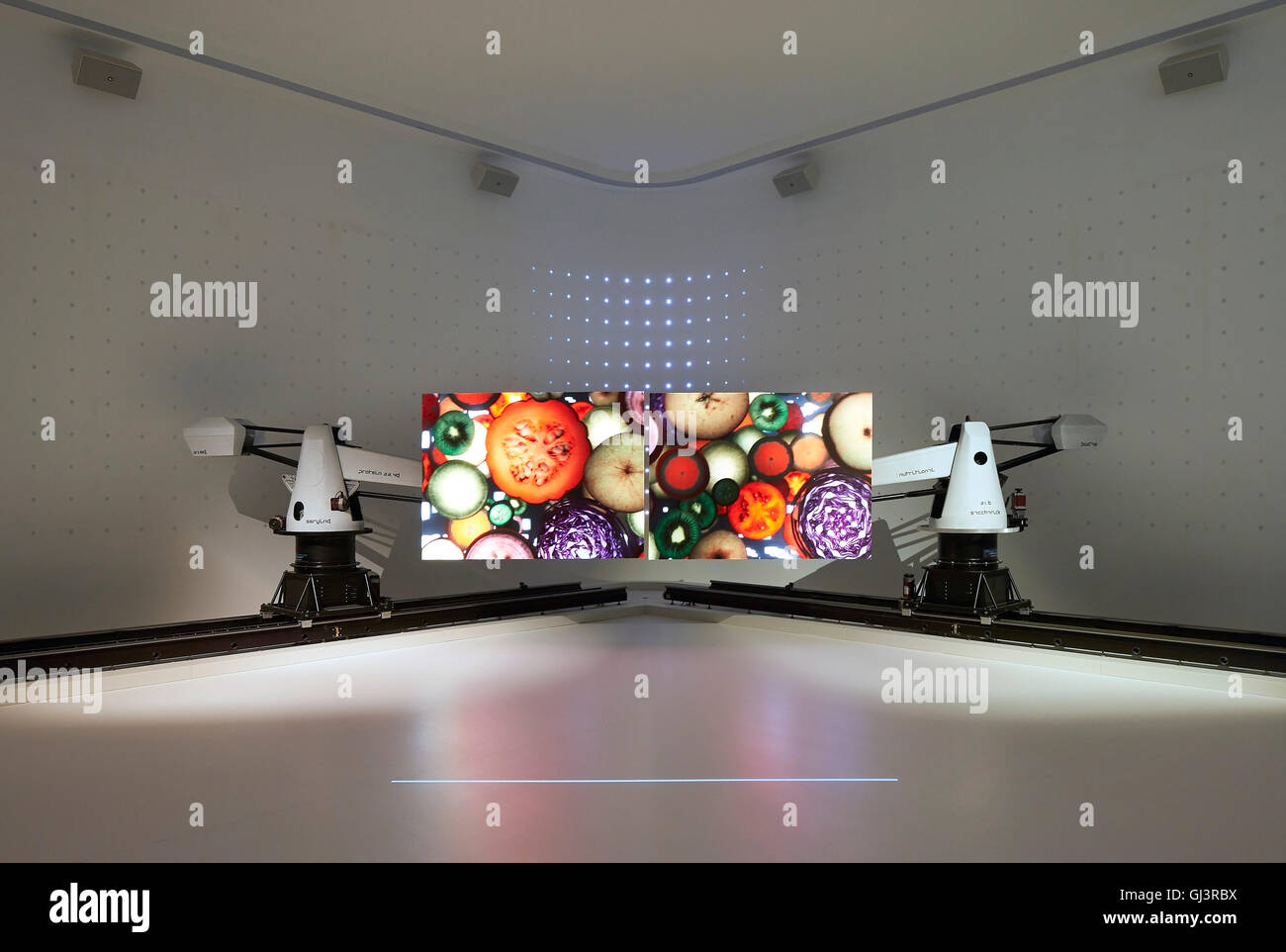 Ausstellung mit Foto Wandbild auf Ernährungsfragen. Mailand EXPO 2015, Korea Pavillon, Mailand, Italien. Architekt: BCHO Architekten, 2015. Stockfoto