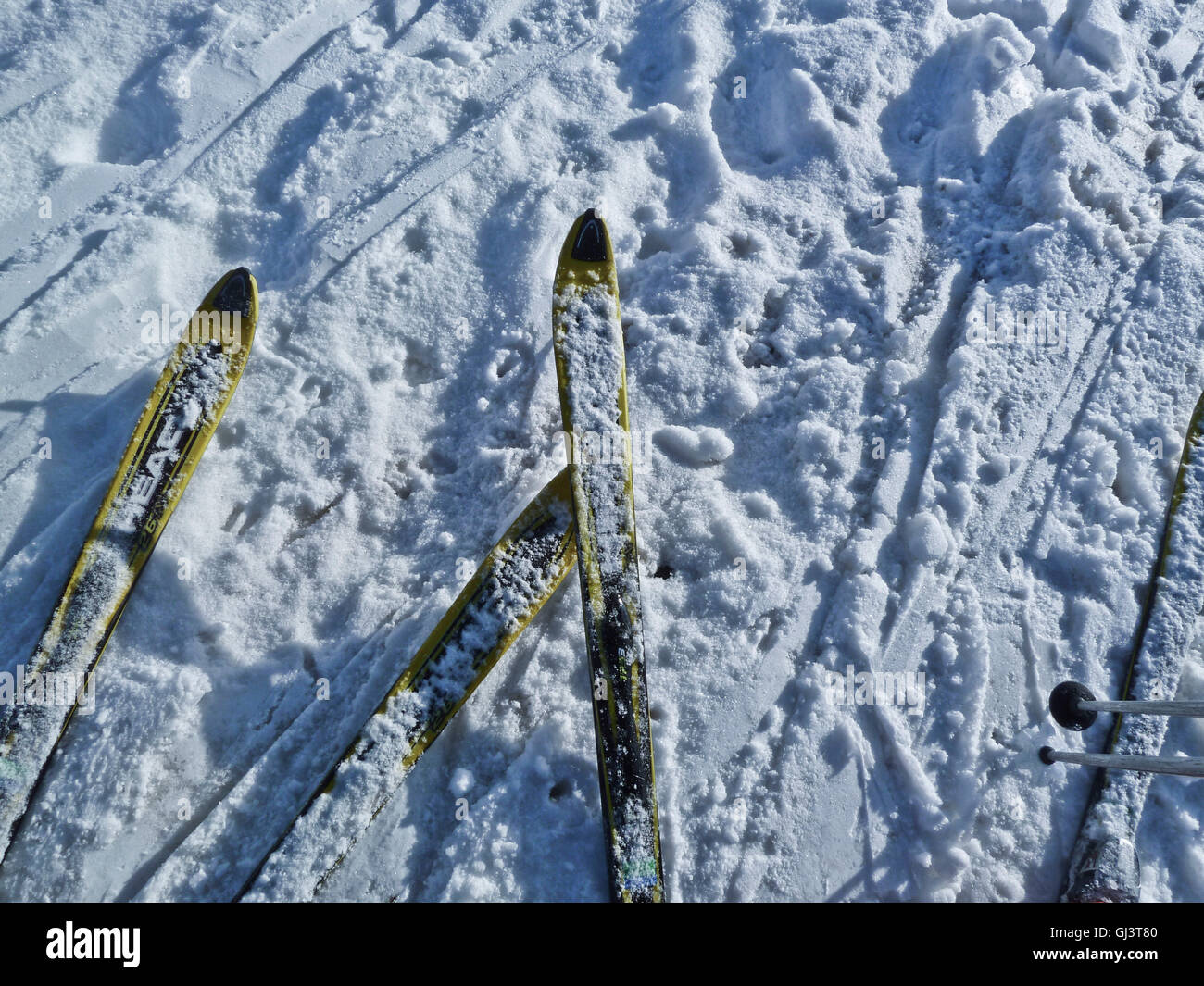 4 Ski auf der piste Stockfoto