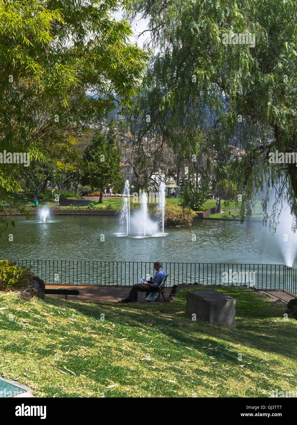 dh Santa Catarina Park FUNCHAL MADEIRA Gardens Mann sitzend lesen Entspannen am Teich mit Wasserbrunnen Garten st Stockfoto