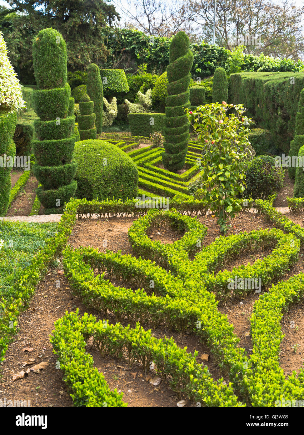 dh Botanischer Garten FUNCHAL MADEIRA Topiary entwirft Bäume Hecken Strauch Gartengestaltung Stockfoto