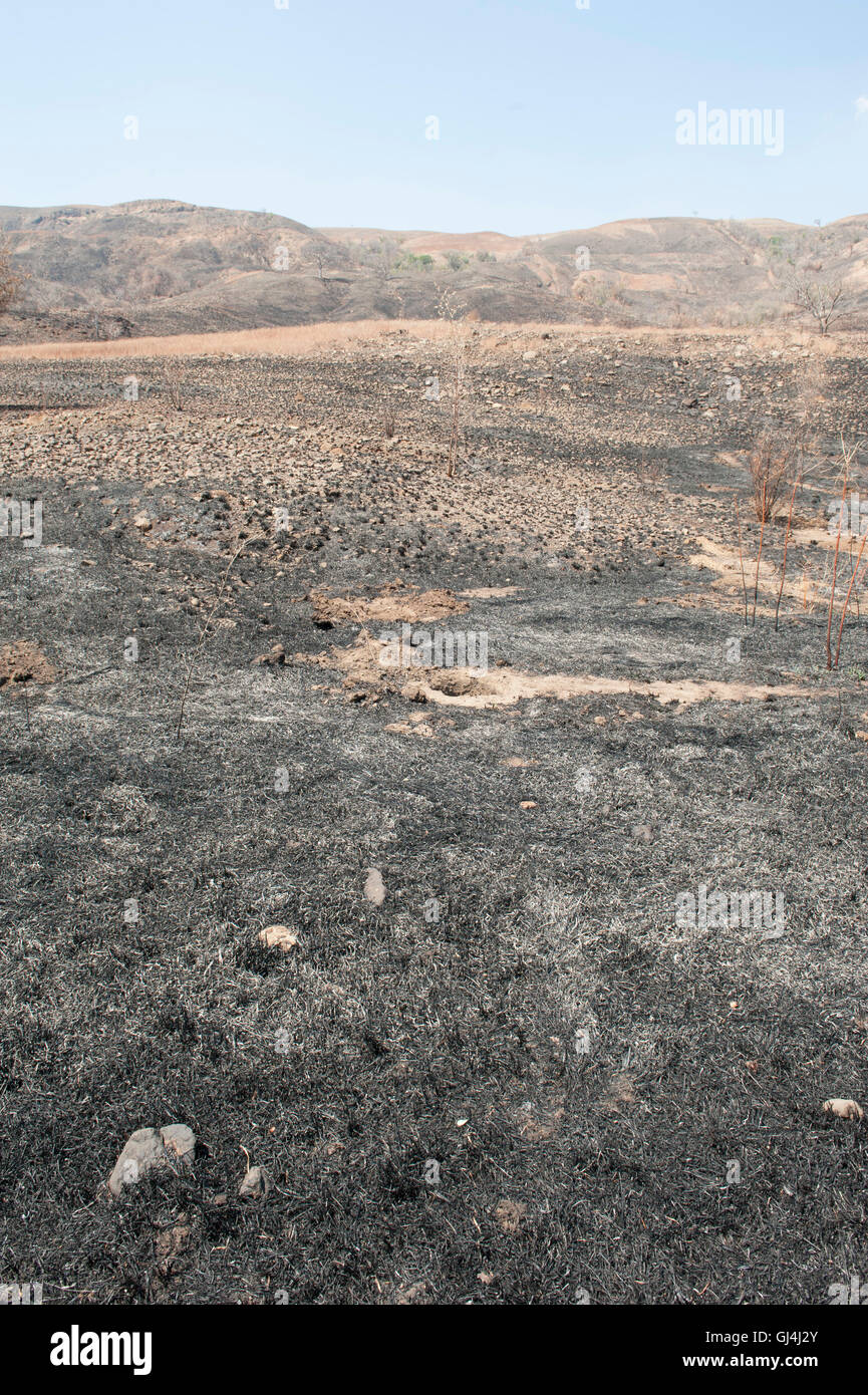 Slash und Verbrennung von Feld-Madagaskar Stockfoto