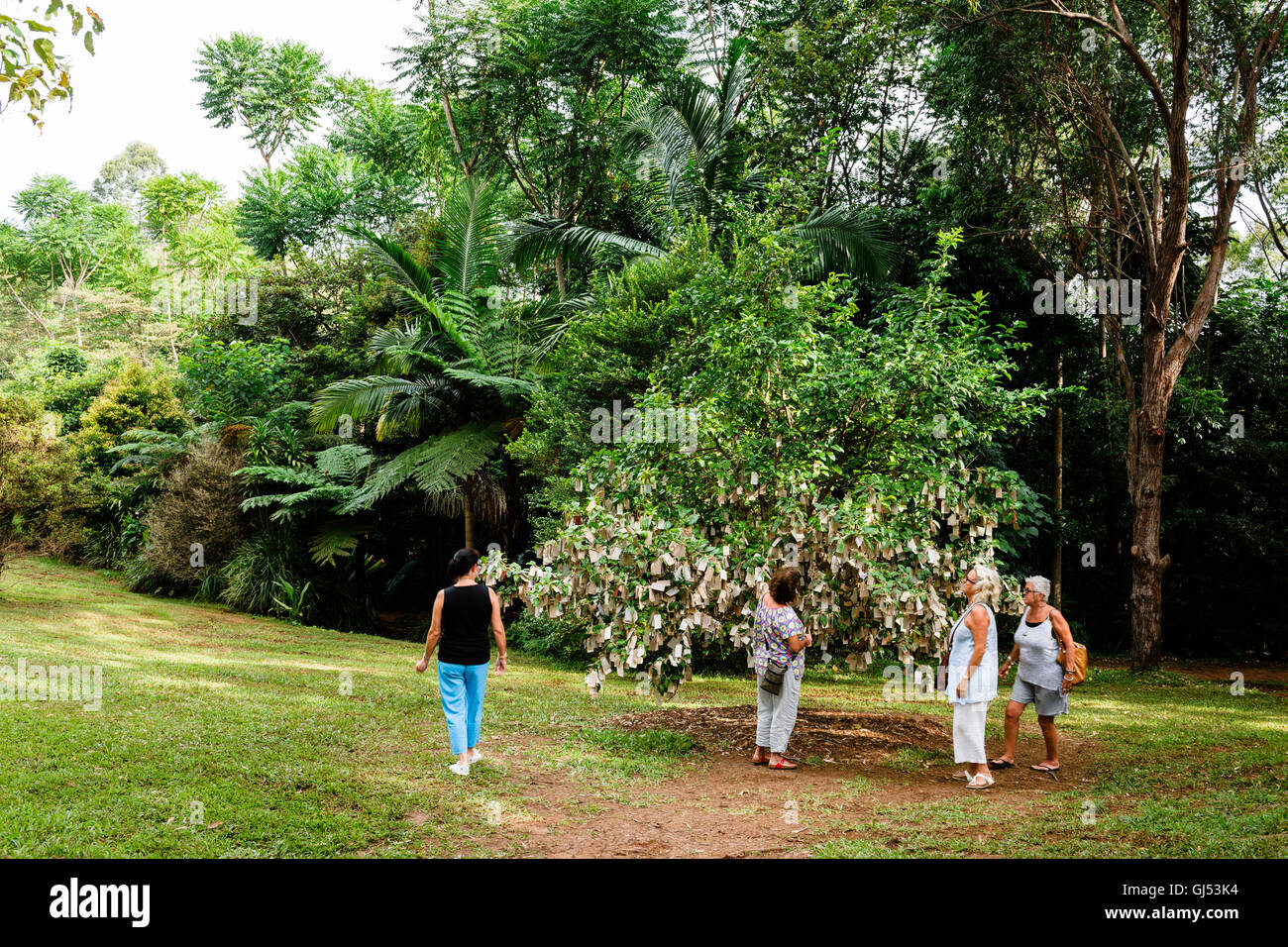 Die Wishing Tree im Kristall und Shambhala Schlossgarten, in der Nähe von Byron Bay. Stockfoto