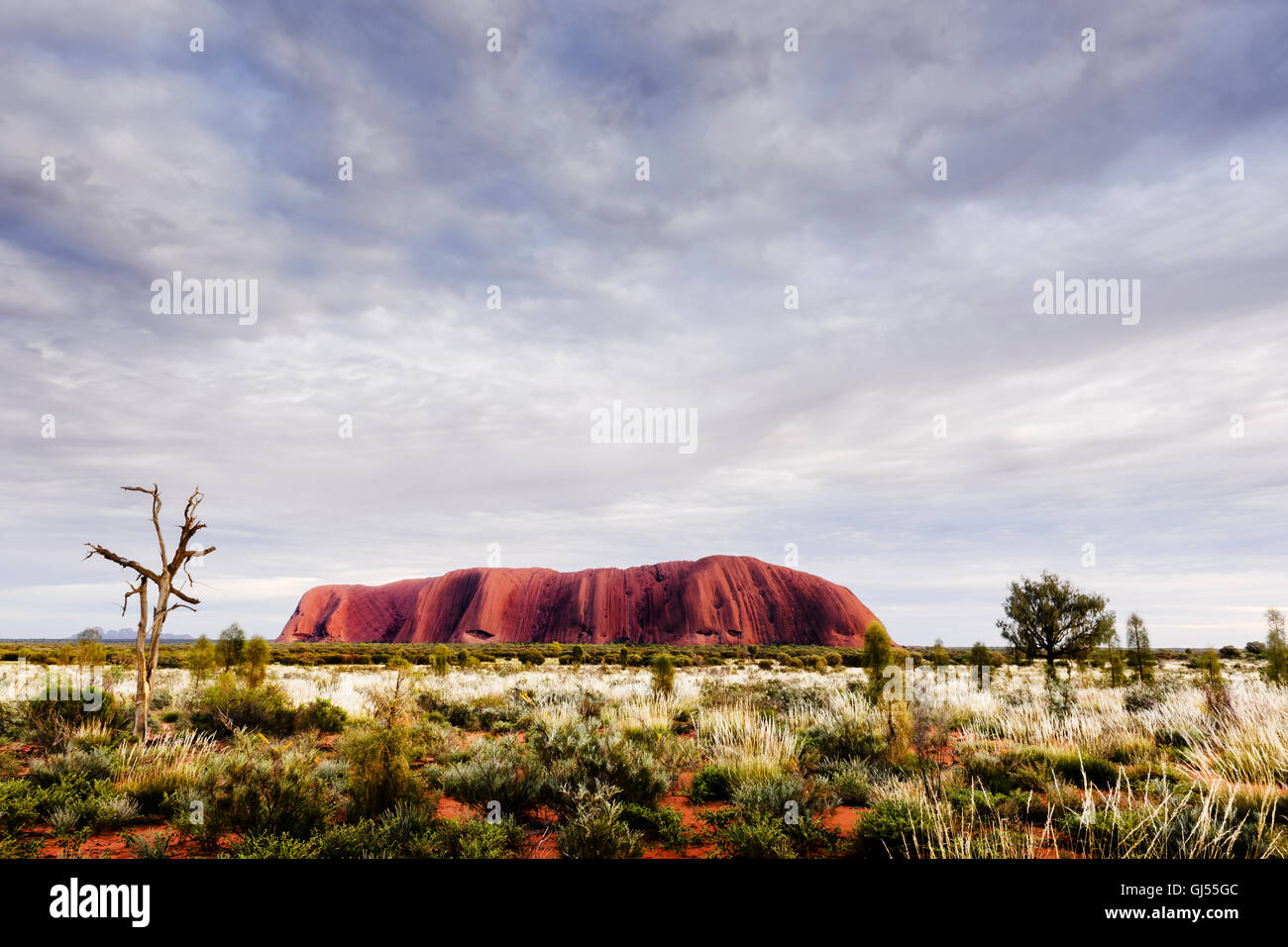 Ansicht des Uluru im Uluru-Kata Tjuta National Park. Stockfoto