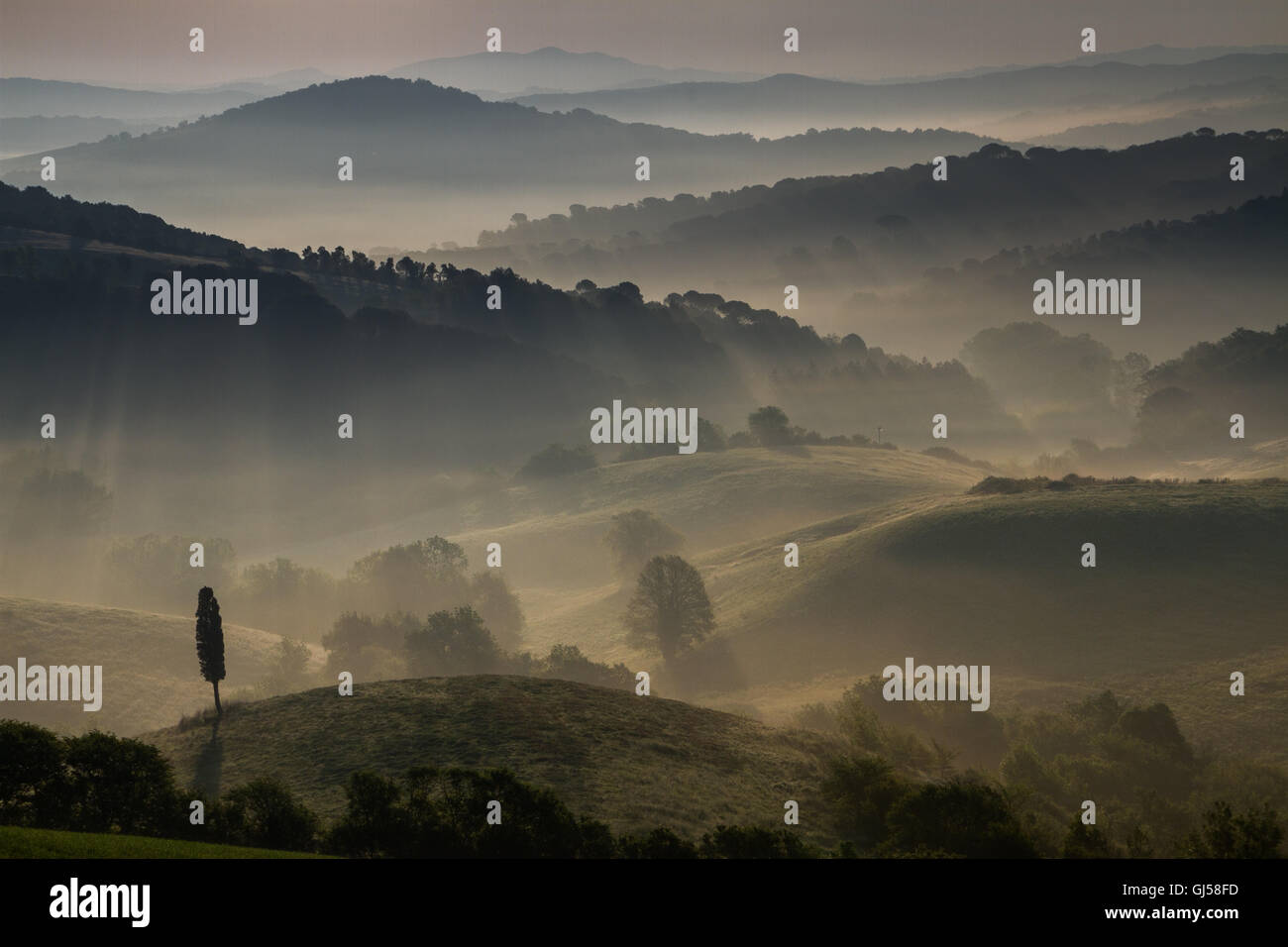 Guardistallo, Toskana, Italien, Blick vom Hügel Ricrio, Landschaft im Nebel Stockfoto