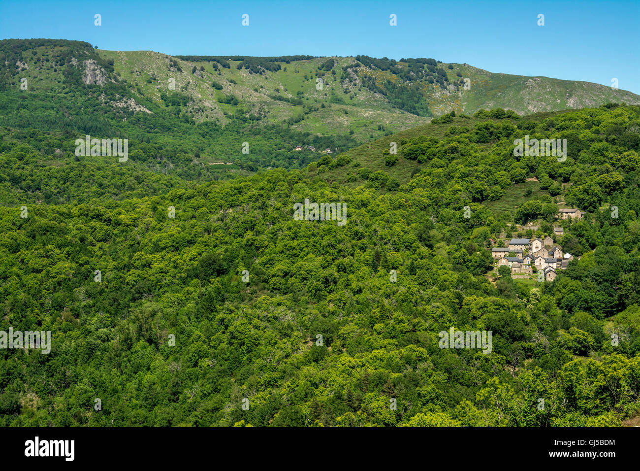 Village of Dourbies , Causses du Larzac Hochplateau, Grands Causses Natural Regional Park, Gard, Occitanie, Frankreich Stockfoto