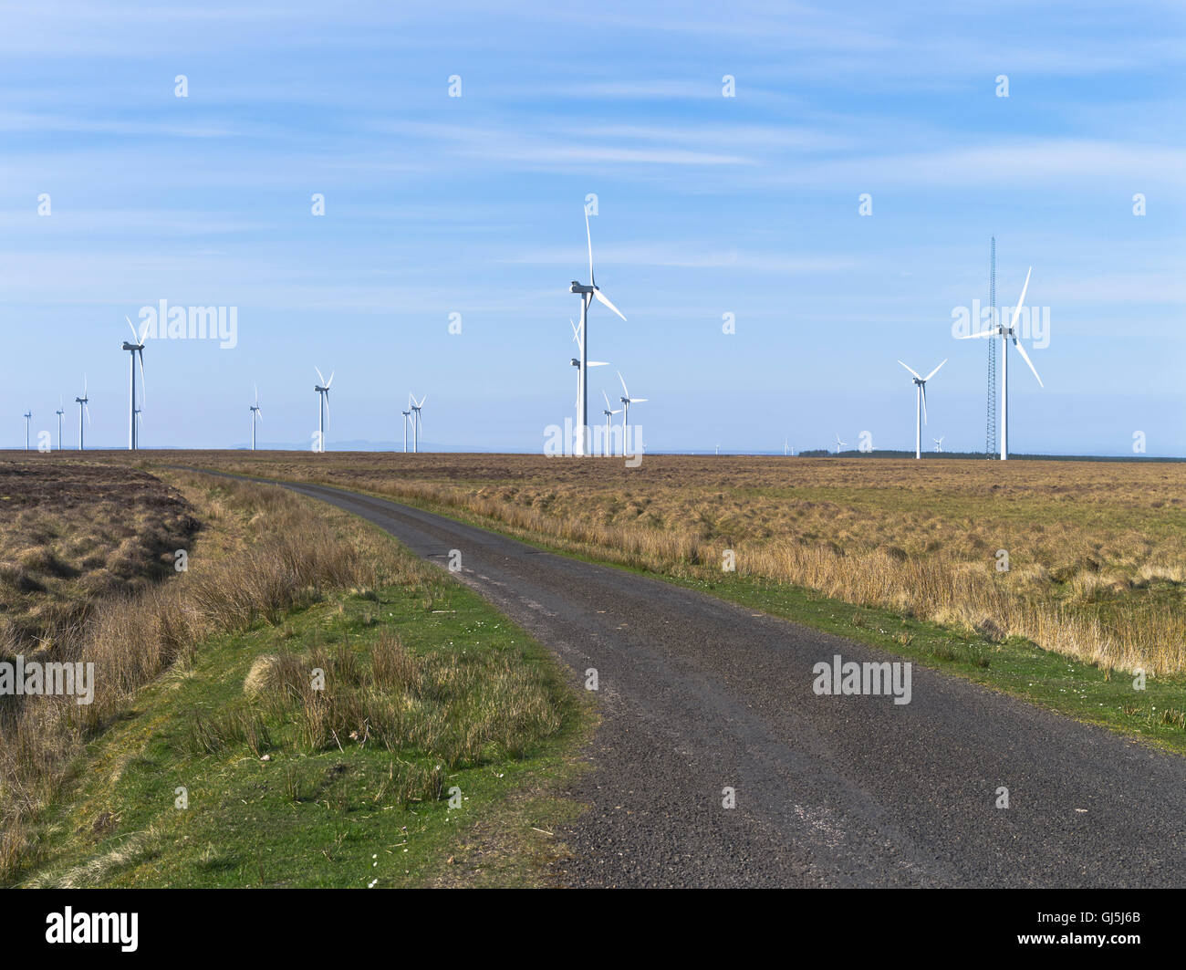 Dh Camster Windfarm CAMSTER CAITHNESS windfarm Turbinen Moorland Road uk Schottland Windpark Turbine Stockfoto