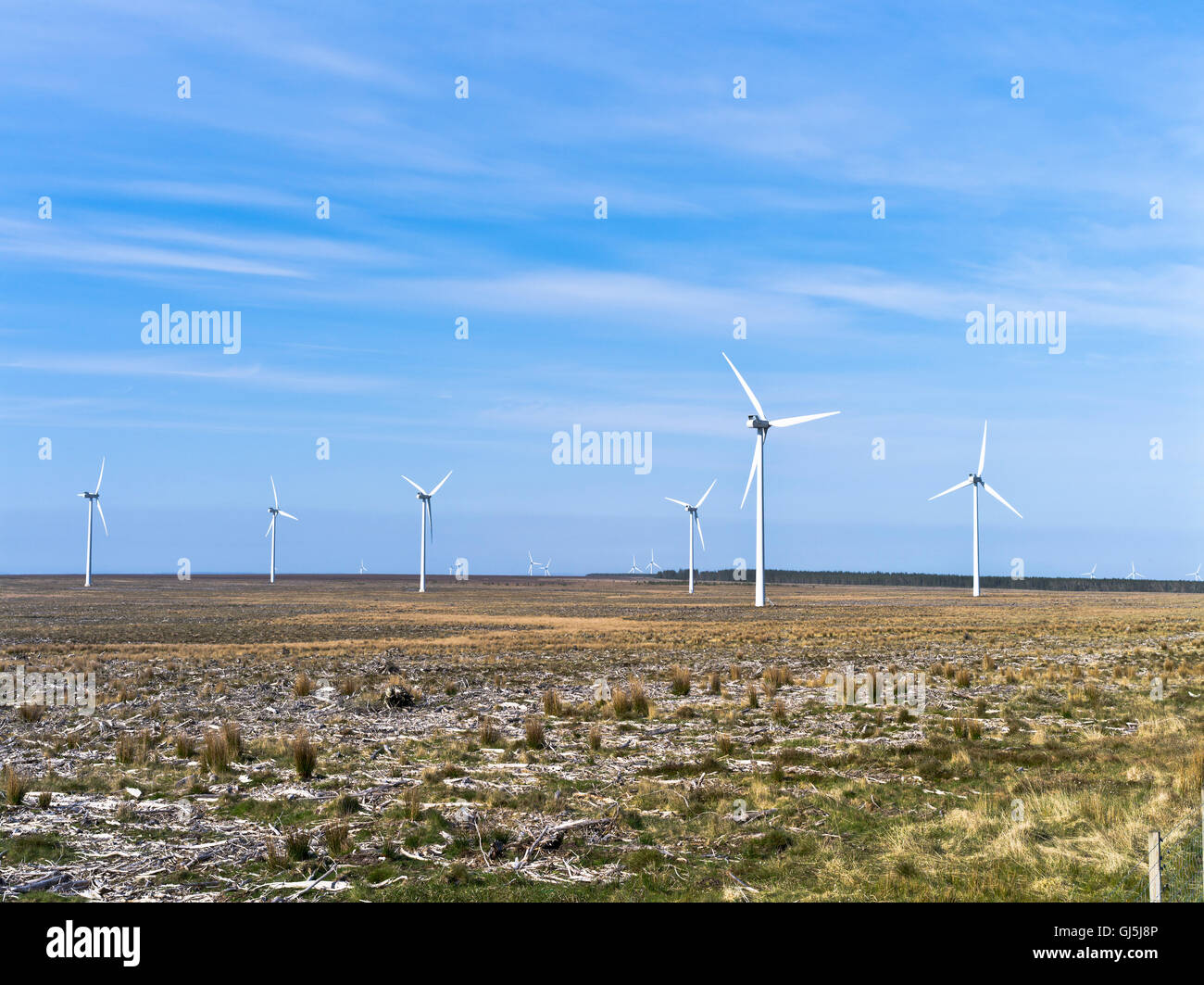 dh Windfarm CAMSTER CAITHNESS Scottish Windfarmen Landschaft uk schottland Turbine Feld Windparks auf Land Großbritannien Land Windpark Turbinen Industrie Stockfoto