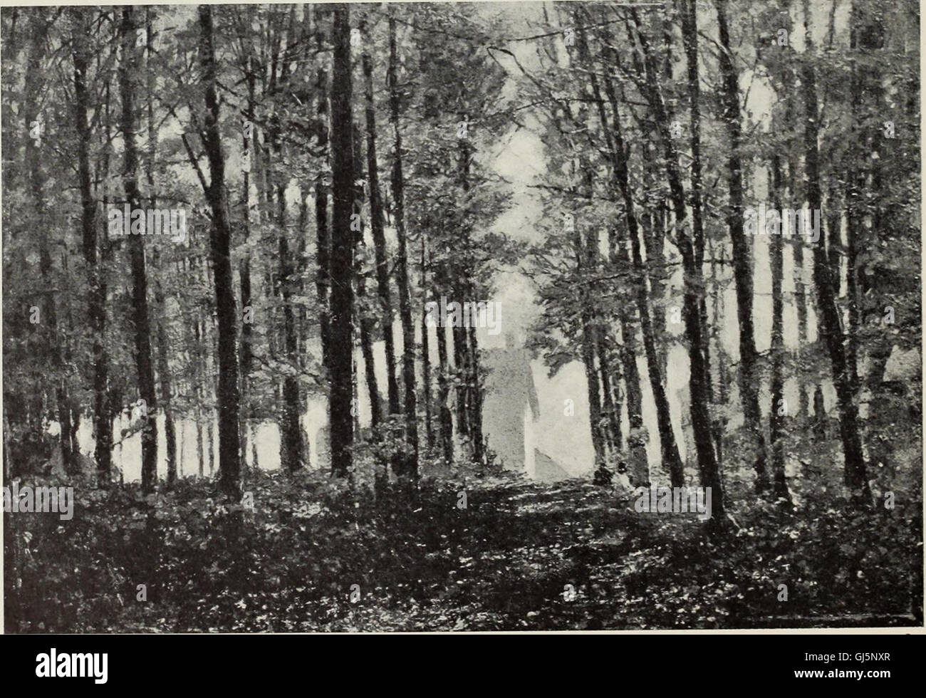 Diese Ausgabe von *International Studio* 1908 dient als illustriertes Magazin, das feine und angewandte Kunst von globalen Künstlern präsentiert und aufschlussreiche Analysen neuer Trends in Kunst und Design bietet. Stockfoto