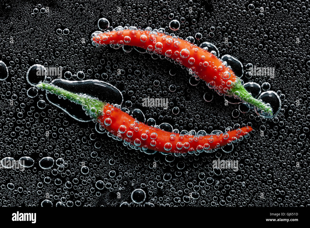 Chilischote in Mineralwasser, eine Reihe von Fotos. Close-up kohlensäurehaltiges Wasser vor schwarzem Hintergrund Stockfoto