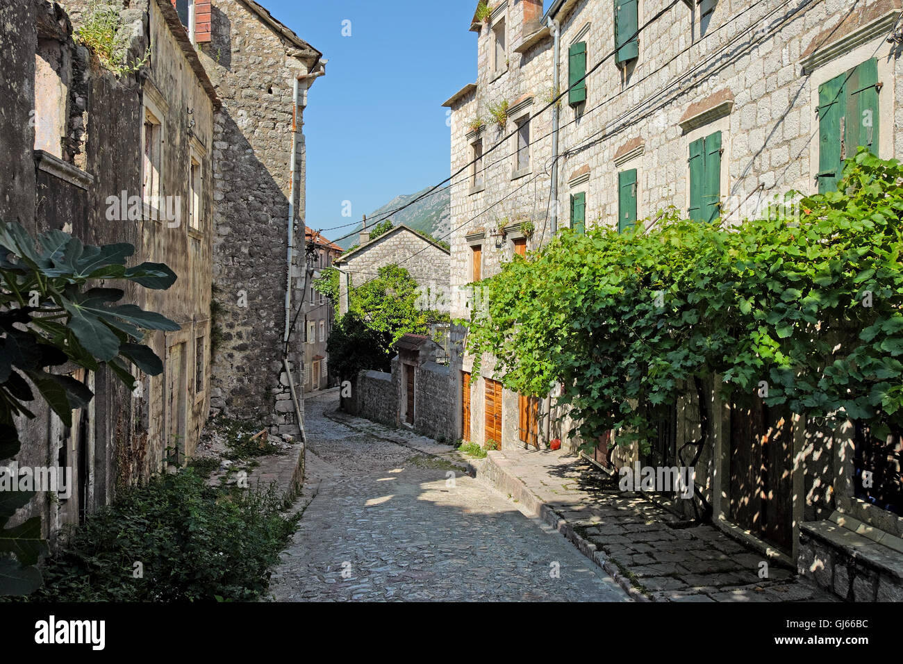 Typische Gasse in der Stadt von Risan, Montenegro Stockfoto