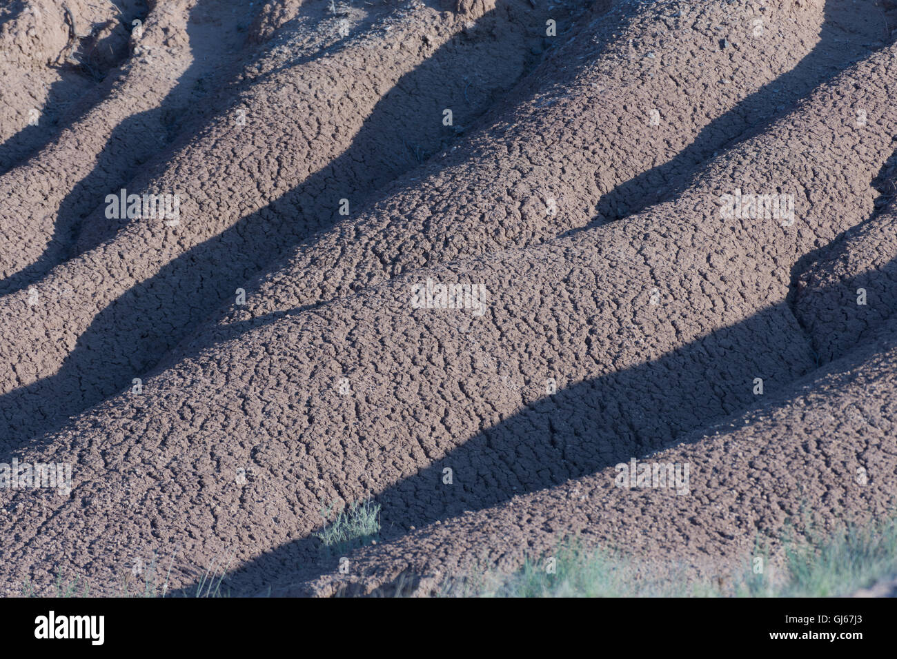 Erodierten Boden entlang einer Arroyo am Sevilleta National Wildlife Refuge, New Mexico, USA. Stockfoto