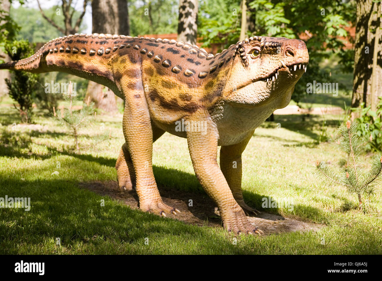 Ornithosuchus longidens Stockfotografie Alamy