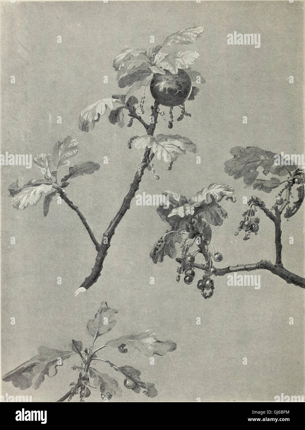 „International Studio“ (1908) ist eine illustrierte Zeitschrift, die sich der Kunst und der angewandten Kunst widmet. Sie deckt Trends zeitgenössischer Kunst ab, zeigt Künstler, ihre Werke und Innovationen im Design. Stockfoto