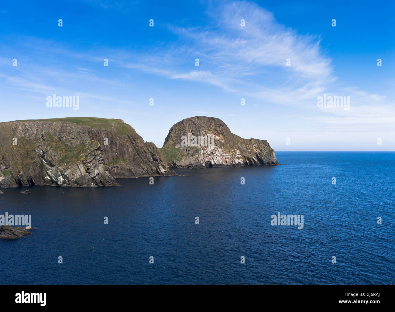 Dh Schafe Rock FAIR ISLE SHETLAND Große Meer stack Heelors Vaasetter der Küste Klippen Schottland Stockfoto