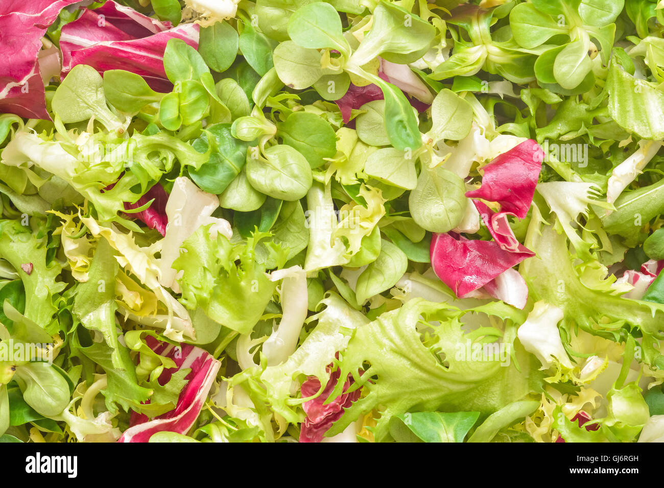 Salat-Mix Closeup Textur Stockfoto