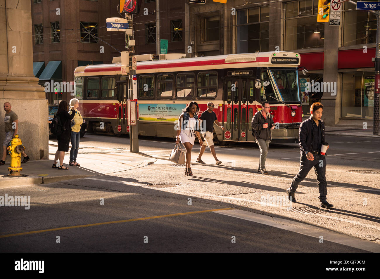 Toronto, Kanada - 2. Juli 2016: Tram an der King Street. Straßenbahn Toronto wird betrieben von der Toronto Transit Kommission (TTC) Stockfoto