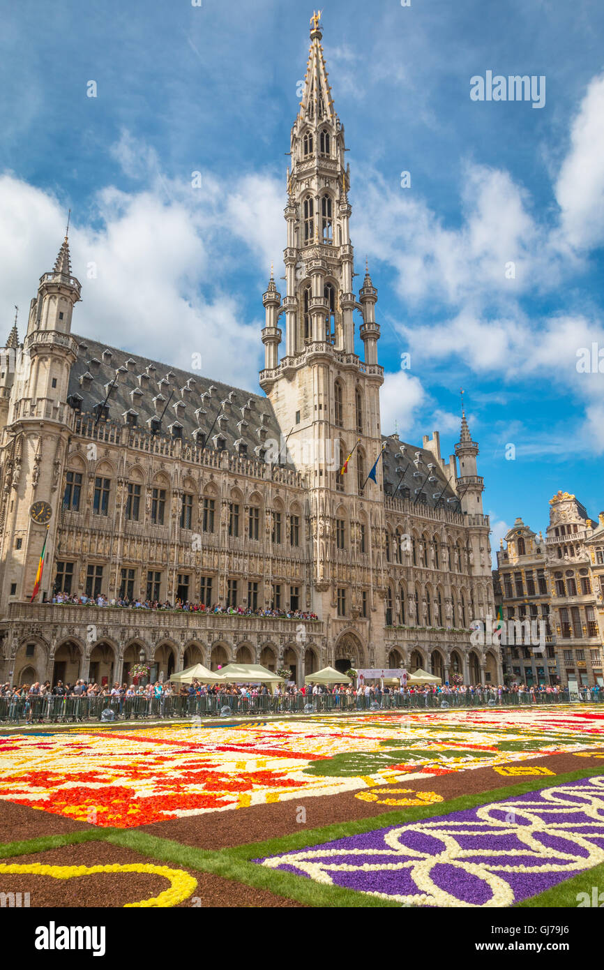 Blick auf die Altstadt Rathaus in Brüssel im Jahr 2016 Teppich Blumenfest Stockfoto