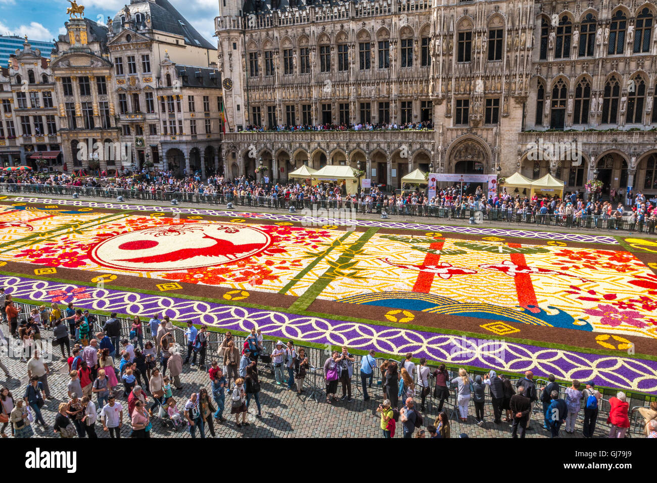 Brüssel Blume Teppich 2016 Belgien Stockfoto
