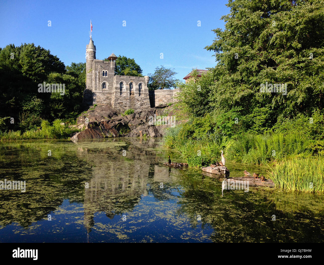 Schloss Belvedere und Schildkrötenteich mit Vögel im Central Park in New York City Stockfoto