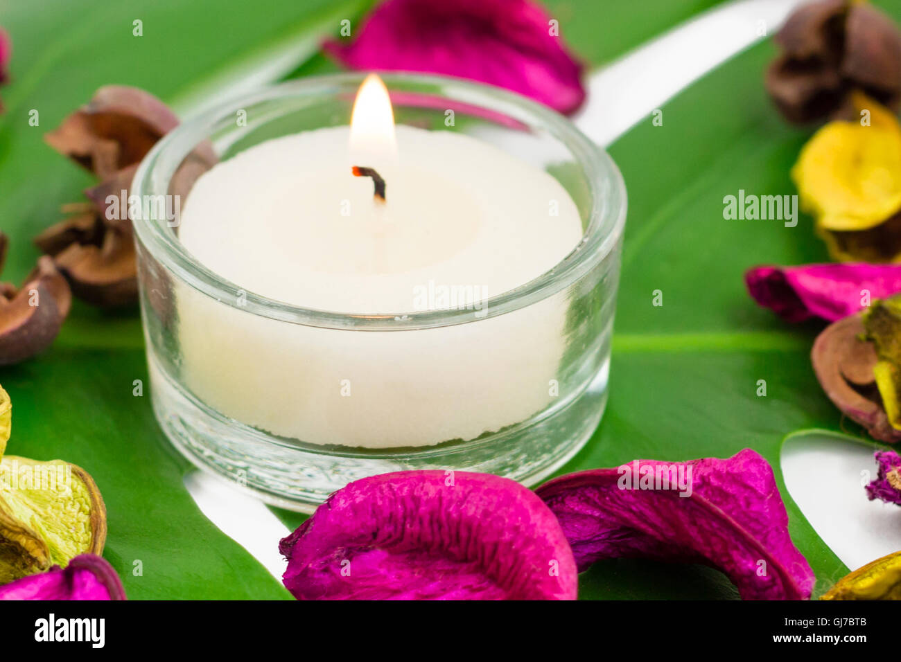 Frische bunte Zusammensetzung der brennenden Kerzen duftenden Potpourri an Monstera Blatt Stockfoto