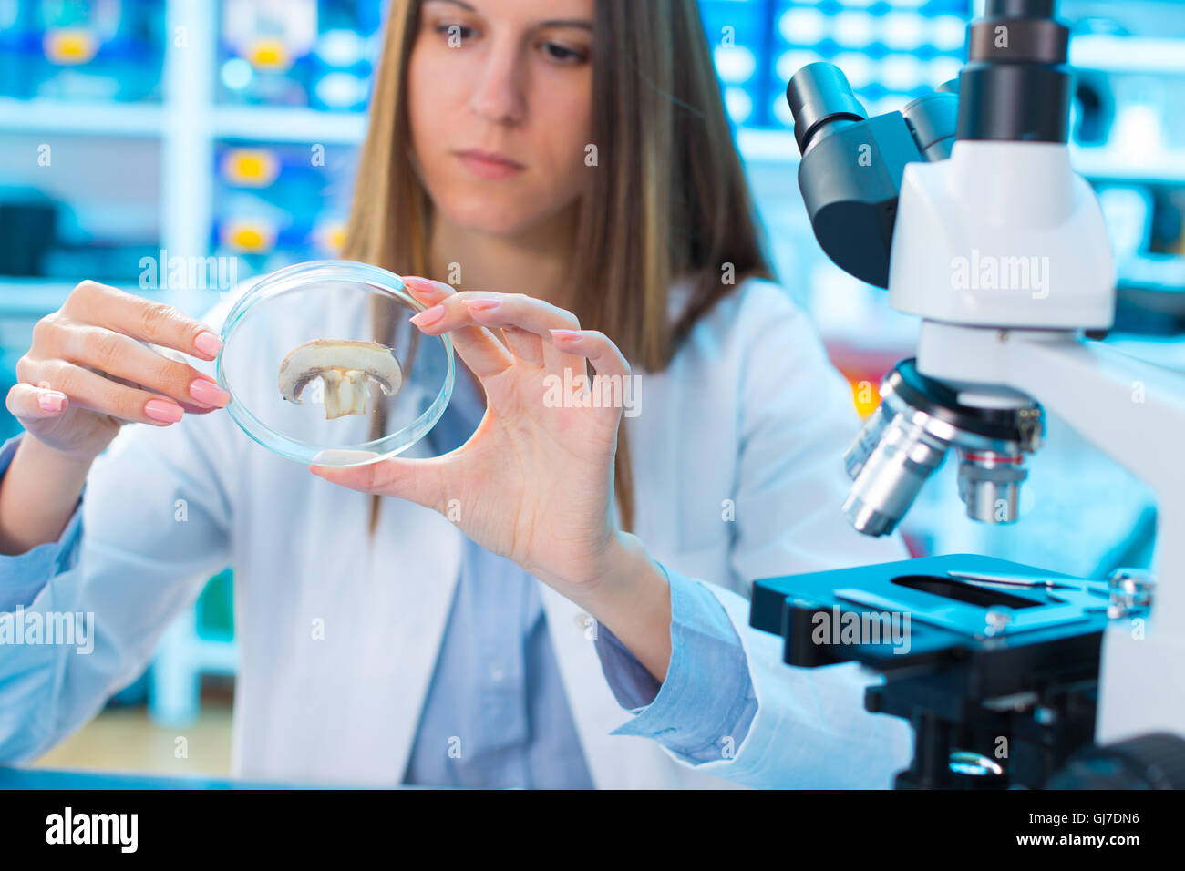 Qualitätskontrolle von Lebensmitteln. Junge Frau im chemischen Labor. Test von Pilzen Stockfoto