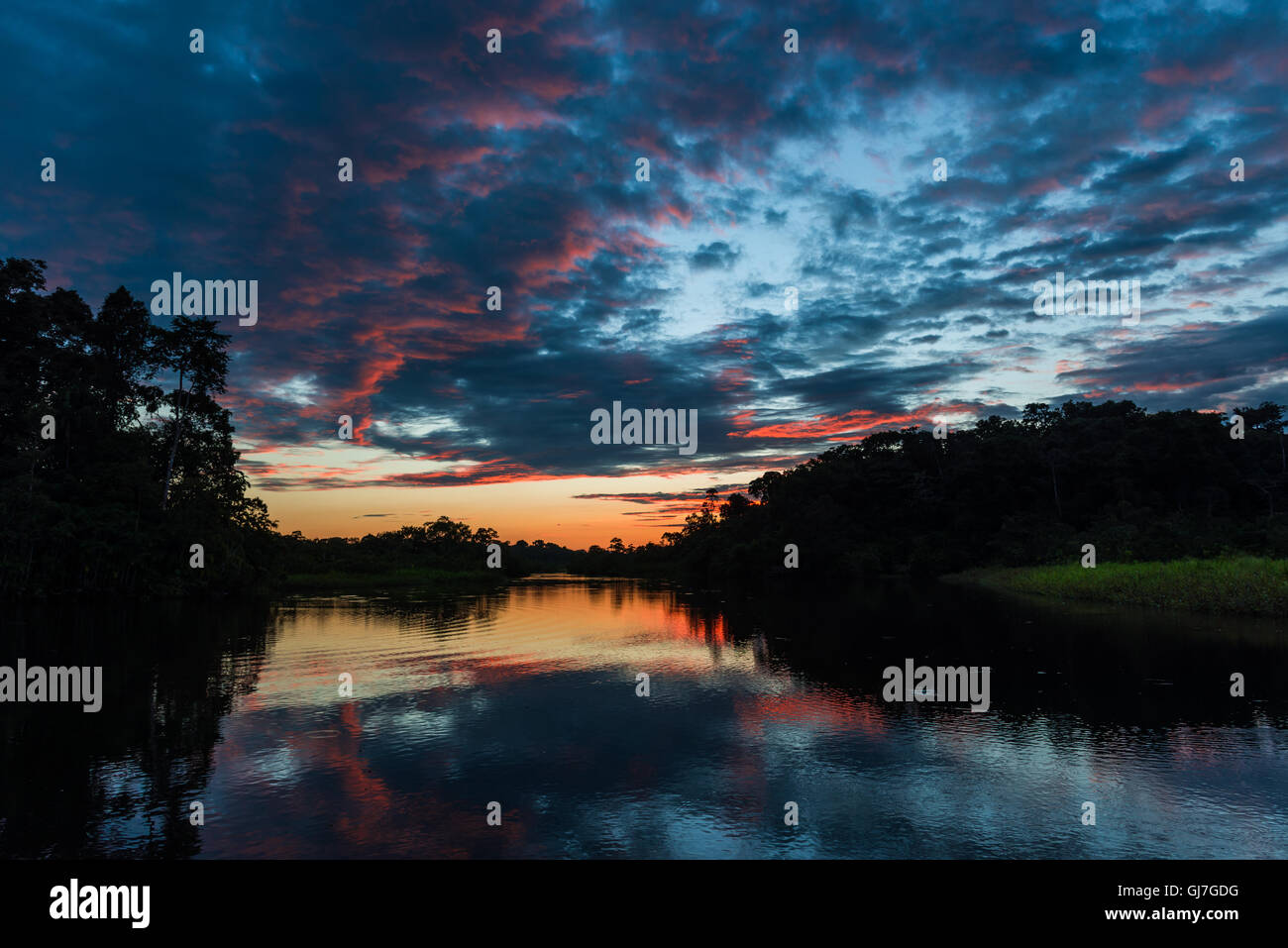 Bunte Wolken über Amazon bei Sonnenuntergang. Yasuni-Nationalpark in Ecuador, Südamerika. Stockfoto