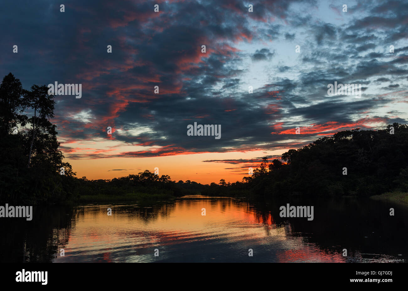 Bunte Wolken über Amazon bei Sonnenuntergang. Yasuni-Nationalpark in Ecuador, Südamerika. Stockfoto