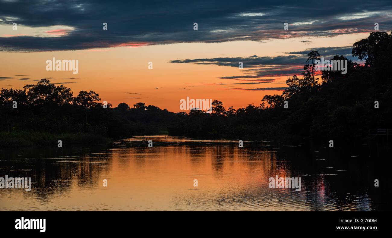 Sonnenaufgang im Amazonas. Yasuni-Nationalpark in Ecuador, Südamerika. Stockfoto