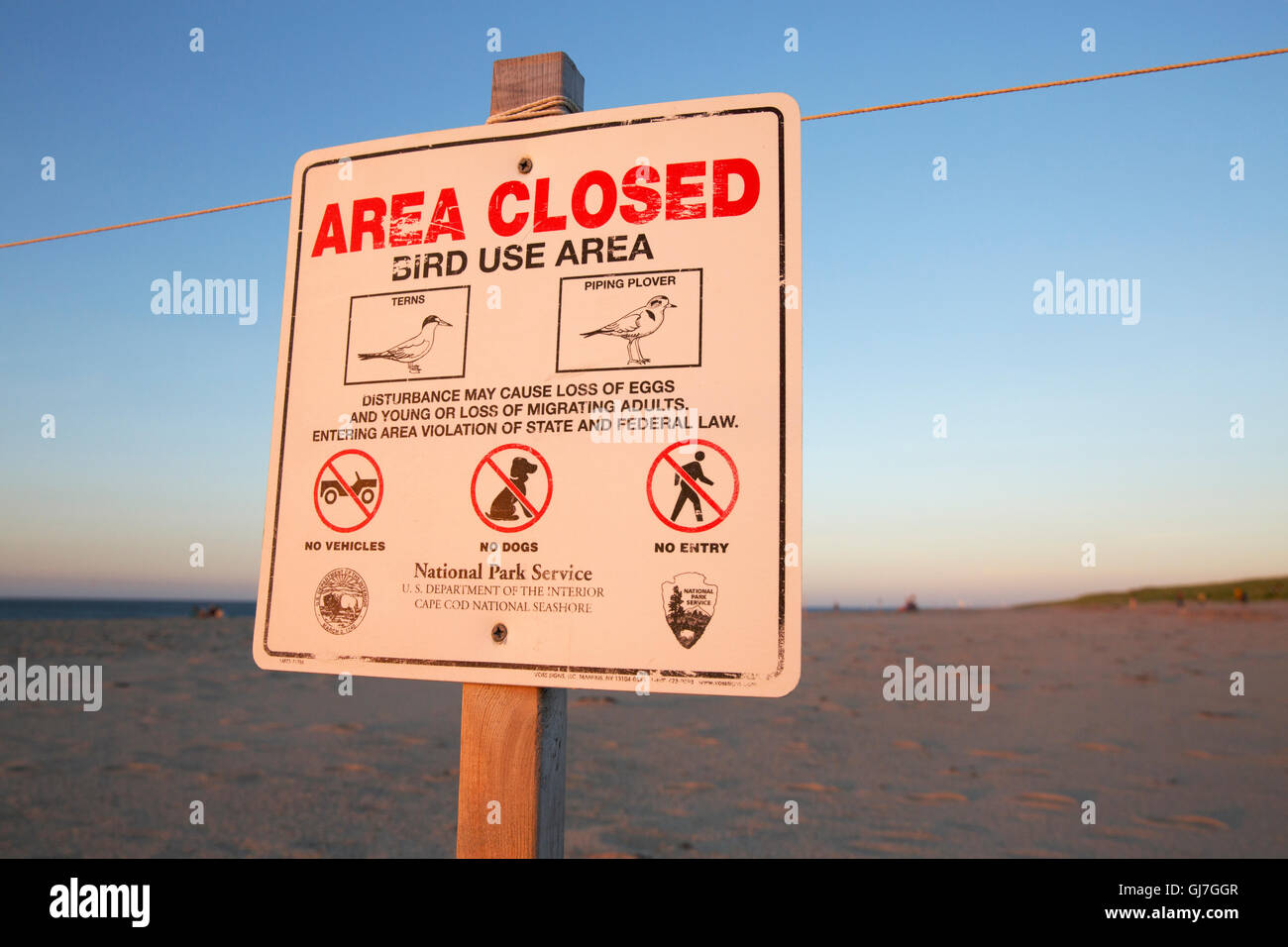 Wildnis-Erhaltung, Race Point Beach, Provincetown, Cape Cod, Massachusetts Stockfoto