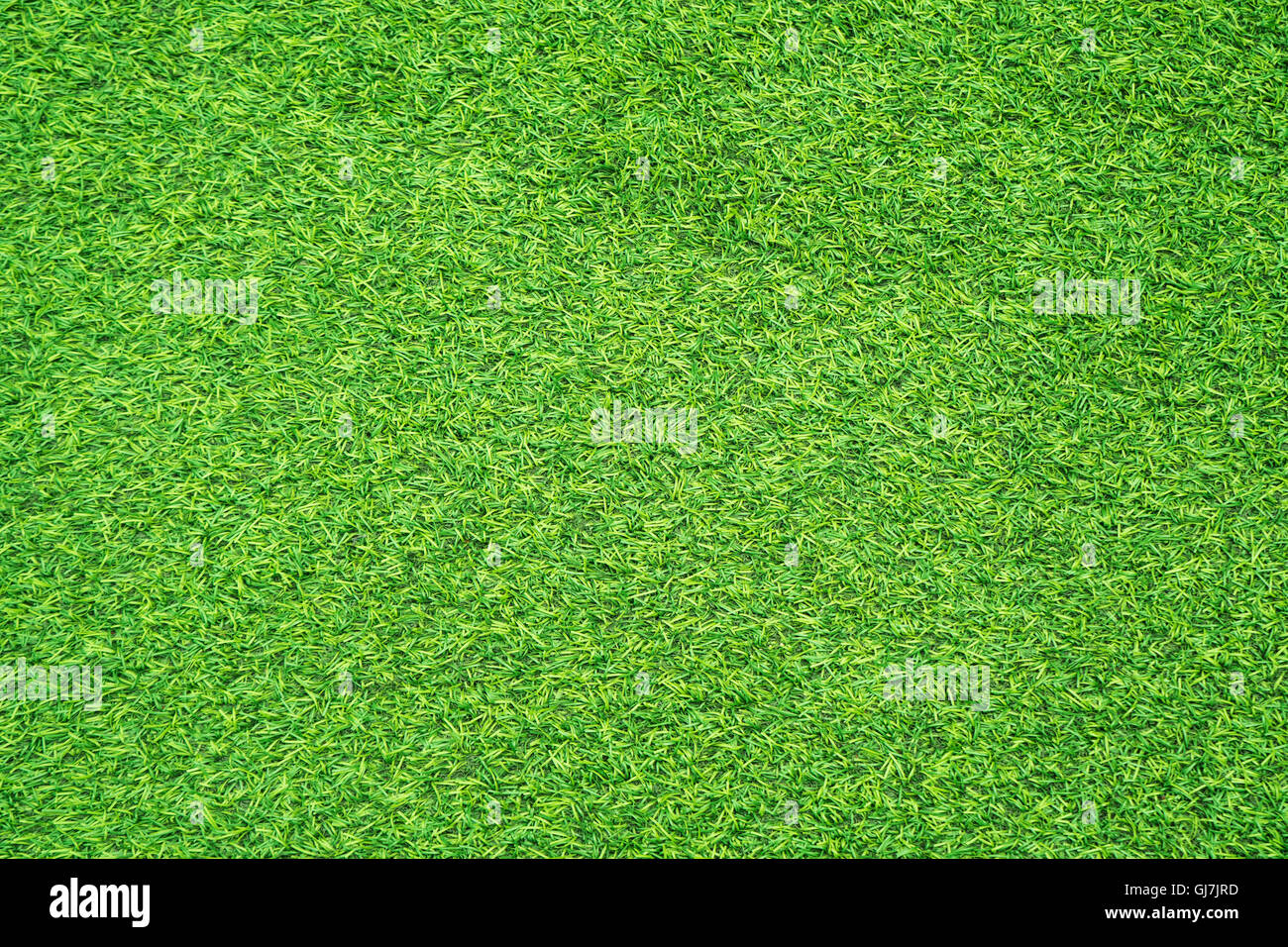 grünen Kunstrasen Textur Stockfoto