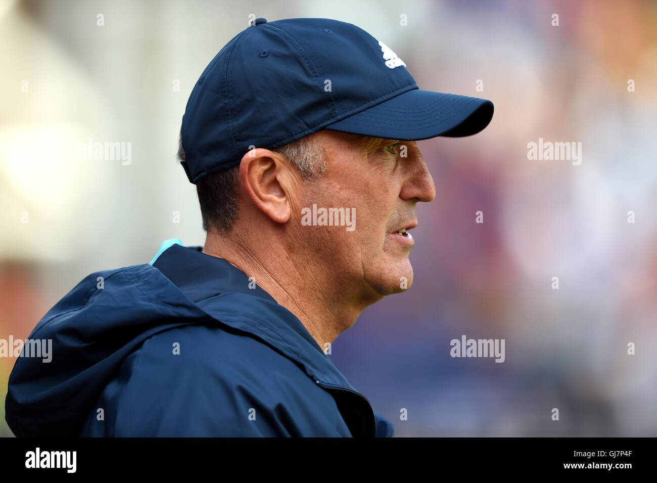 West Bromwich Albion Manager Tony Pulis während der Premier-League-Spiel im Selhurst Park, London. Stockfoto