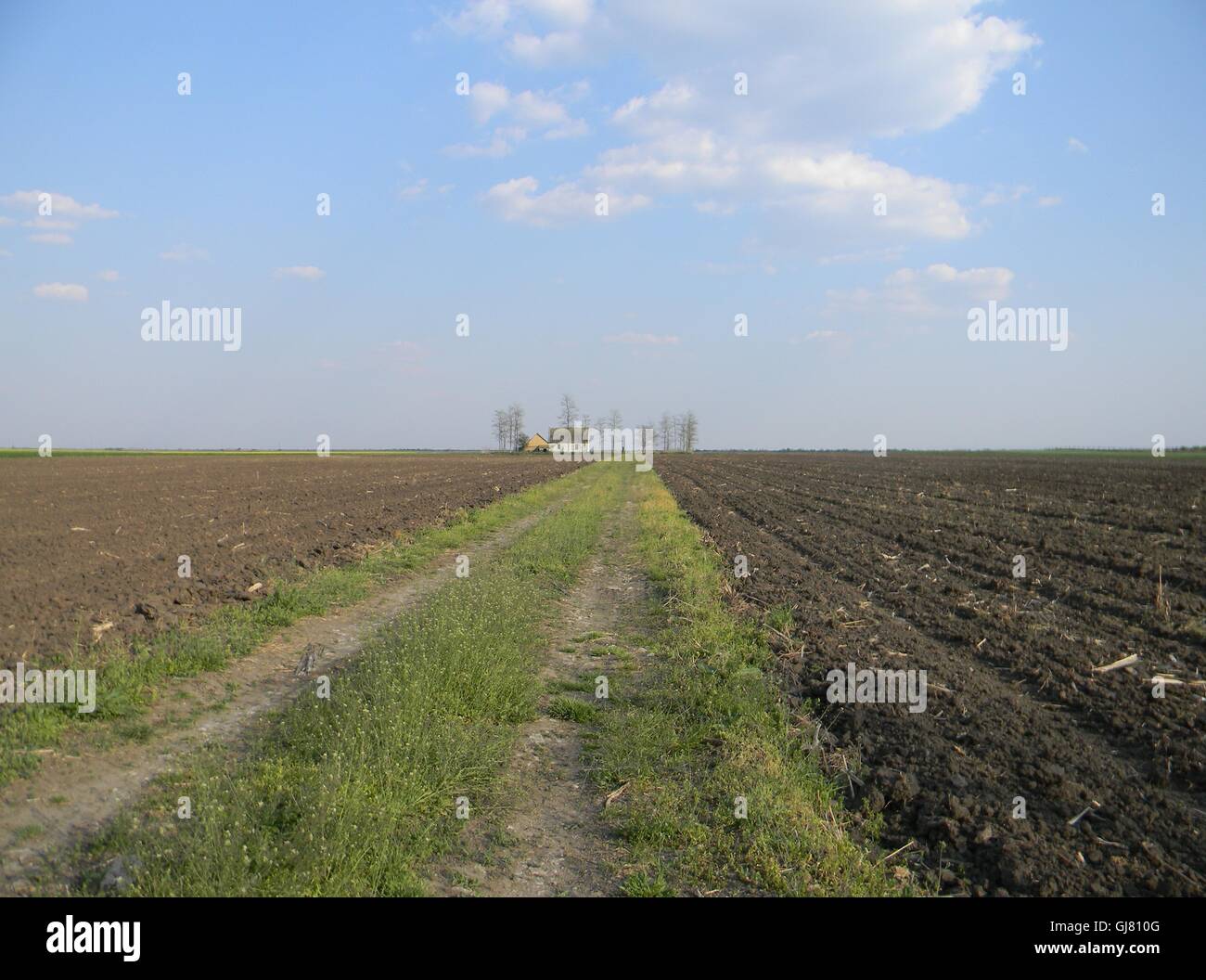 Vrbas, Vojvodina, Serbien Stockfoto