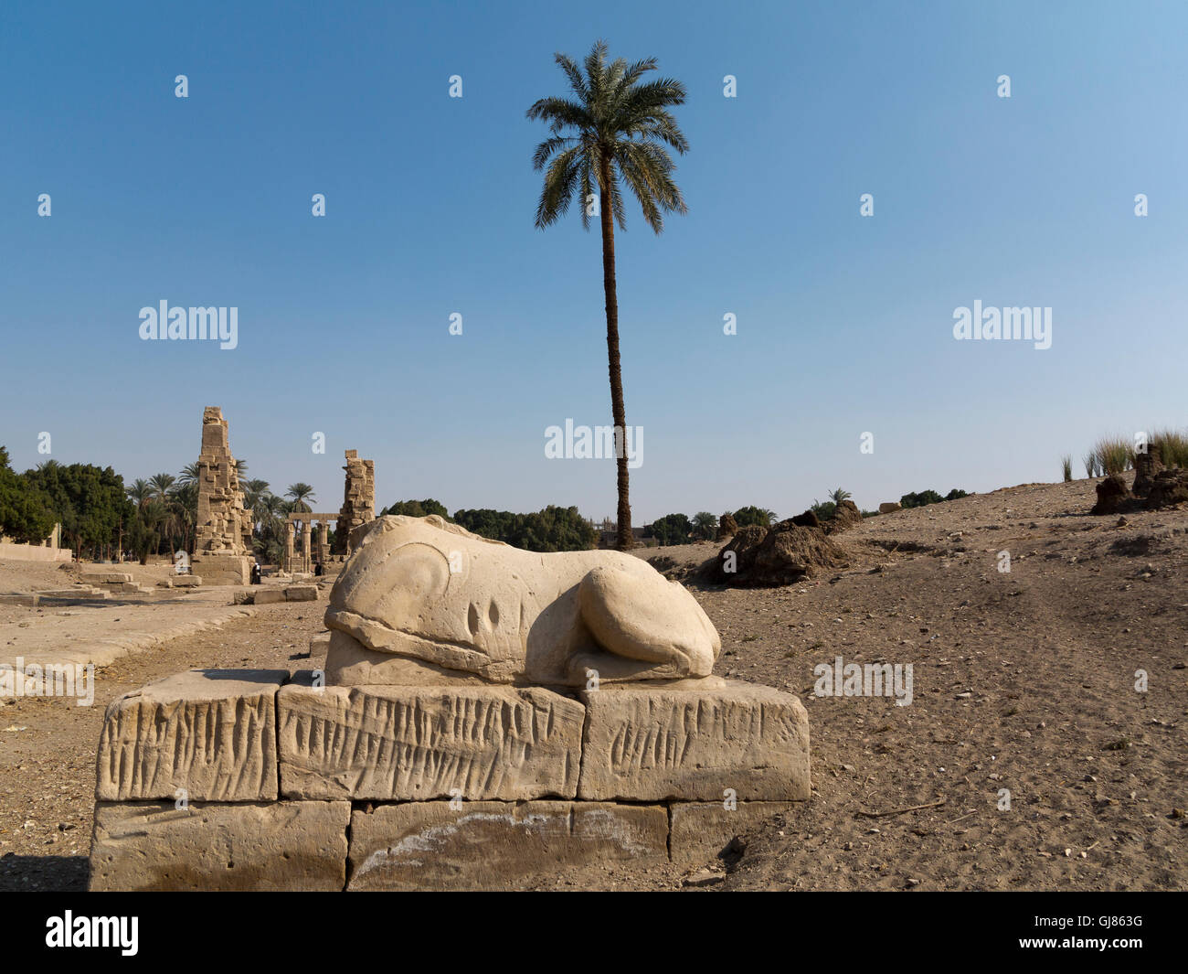 Sphinx-Allee in den Tempel Gottes unter der Leitung von Falcon Montu am Medamud, nördlich von Luxor, Ägypten Stockfoto