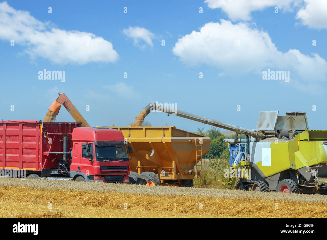 Erstaunliche Ländliches Motiv auf Herbst Feld mit harvester Stockfoto
