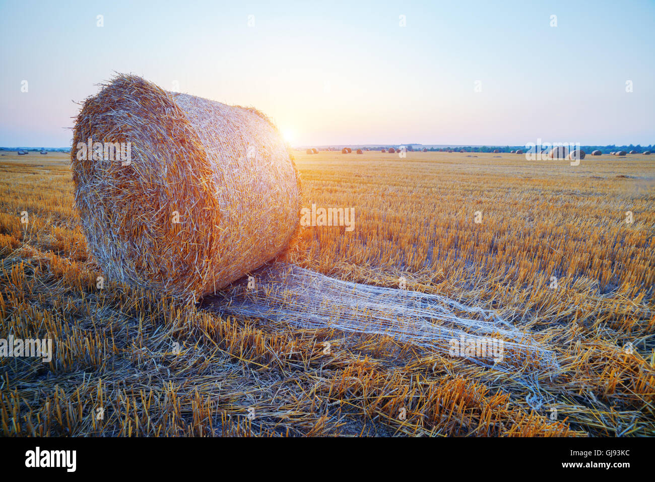 Erstaunliche Ländliches Motiv auf Herbst Feld mit Stroh Rollen und dramatische Abendlicht. Stockfoto