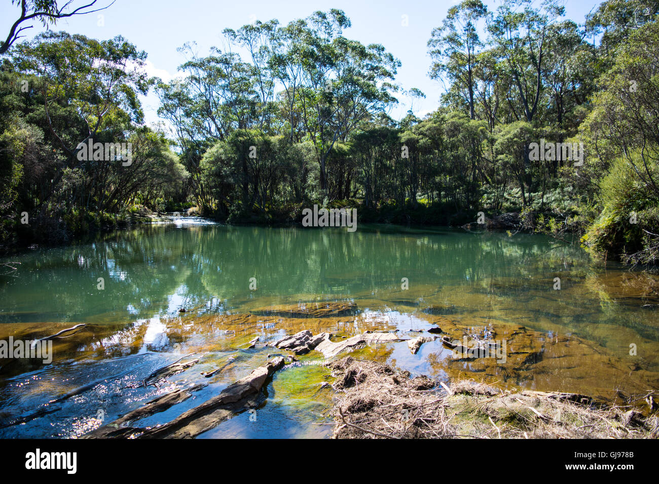 Blauen Pool Missingham Creek Carrington fällt Budderoo Nationalpark New South Wales Australien Stockfoto