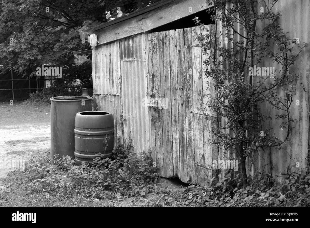 Rustikale Land Hütte mit Wasserfässer Sammlung August 2016 Stockfoto