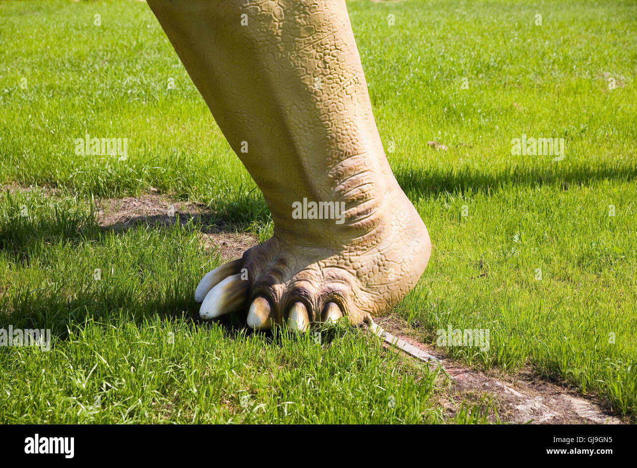 Diplodocus Longus Bein Stockfoto