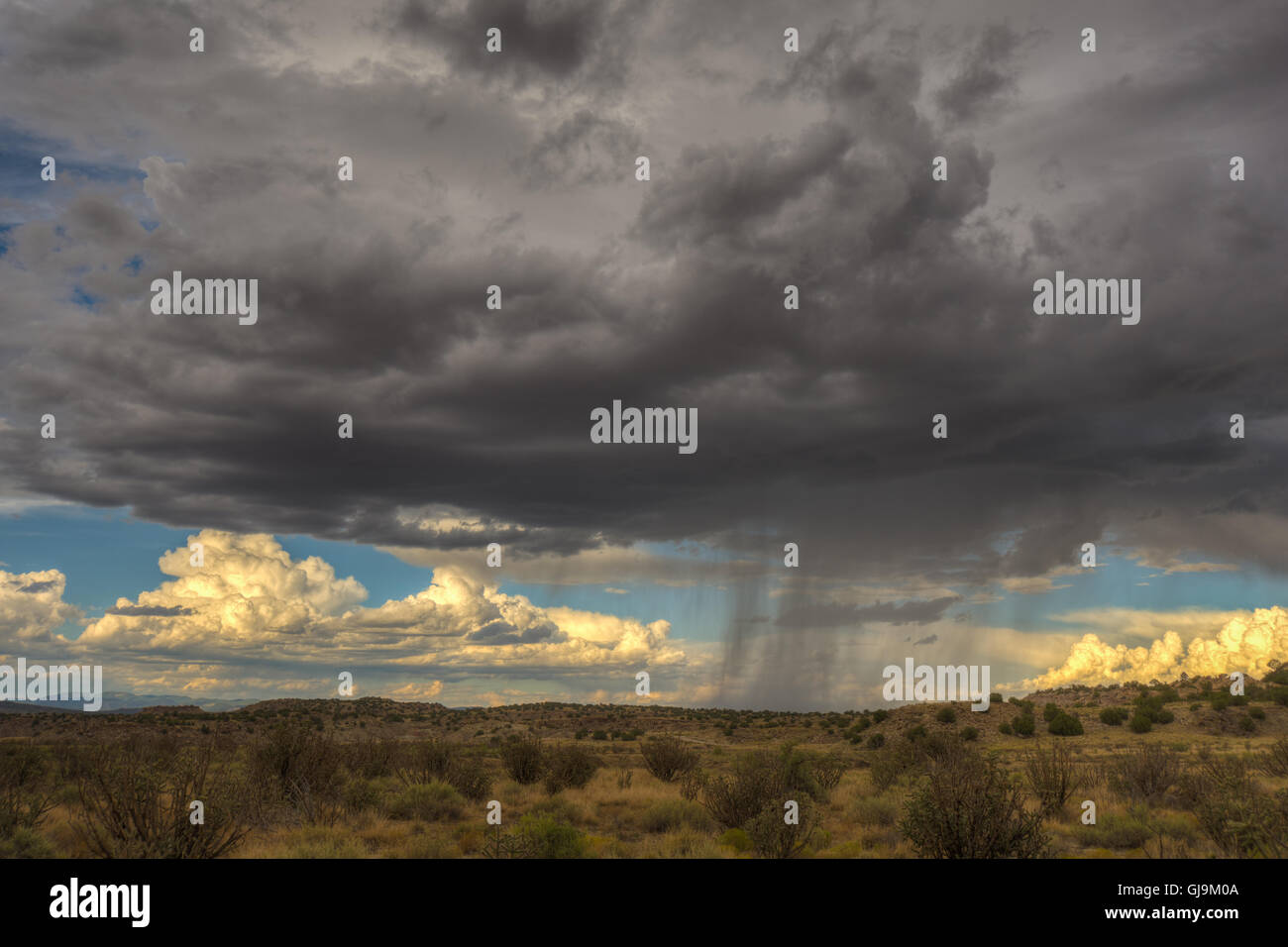 Kleine Monsun Gewitter, Ojito Wildreness, New Mexico, USA. Stockfoto