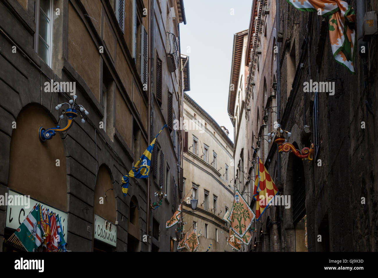 Die Flaggen der Contrade, säumen die Straßen in Siena, Toskana, Italien Stockfoto