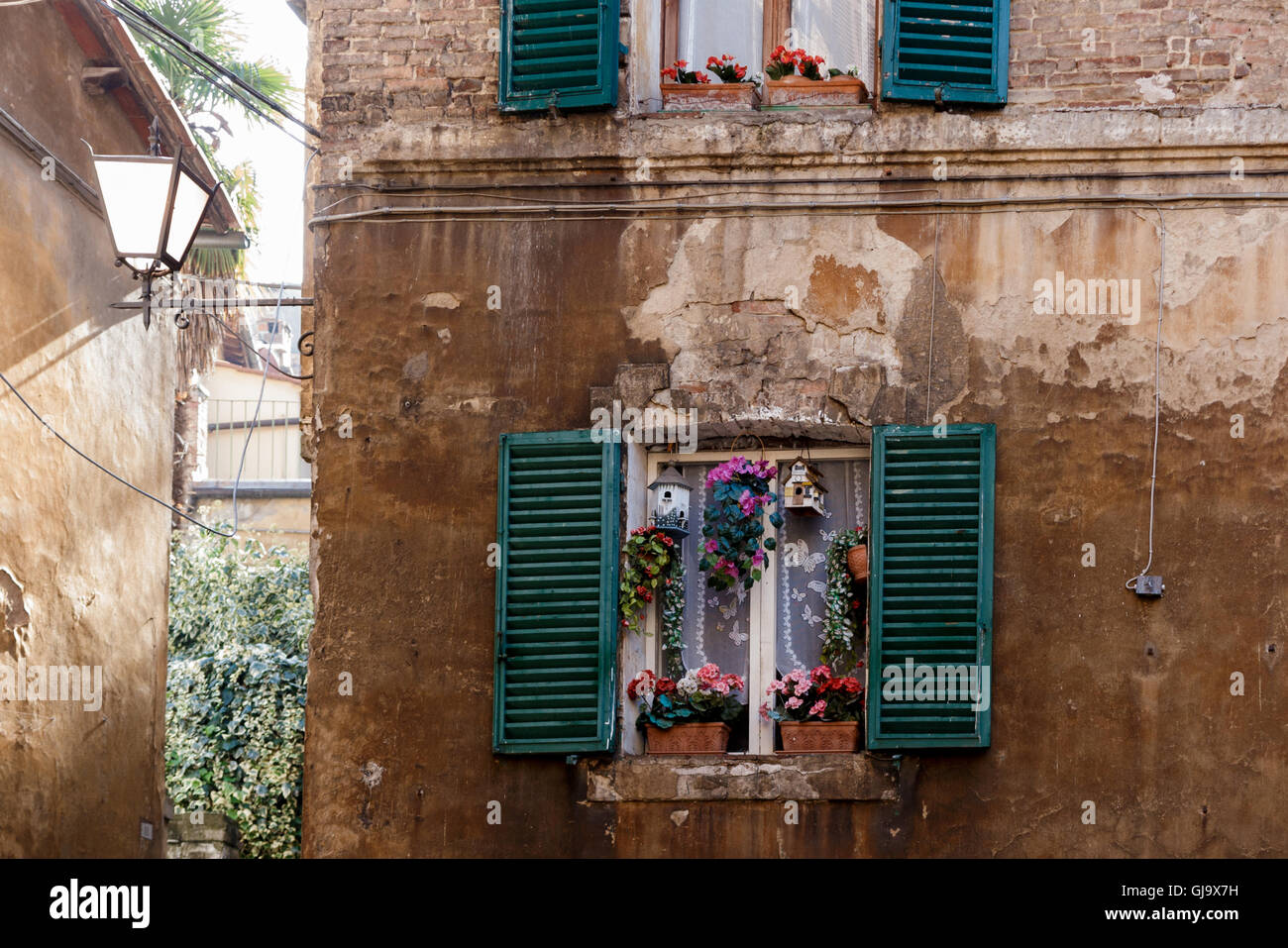 Fenster mit Blumen und den alten Mauern in Siena, Toskana, Italien Stockfoto