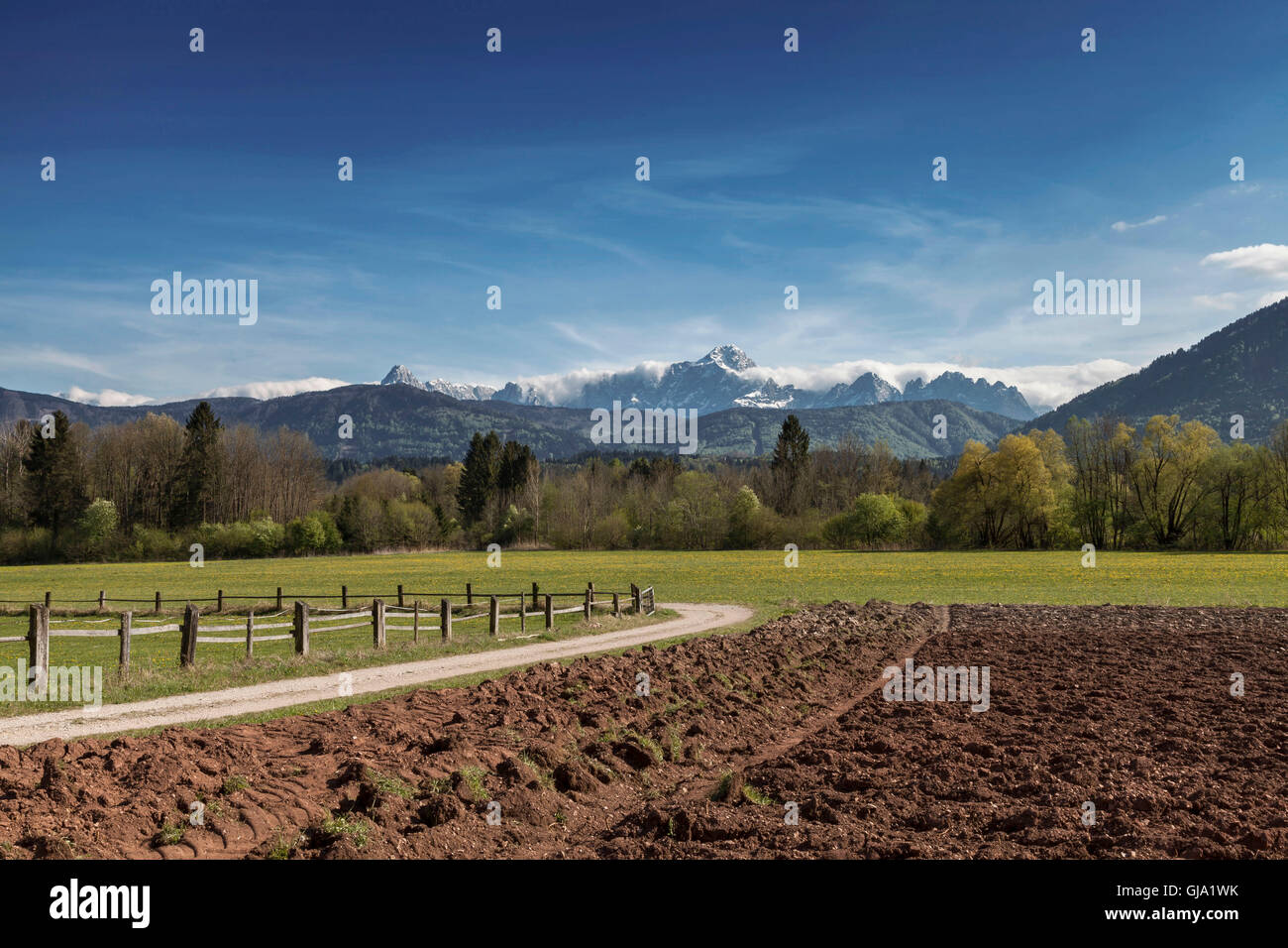 Frühling im Gailtal, Carinthia Stockfoto