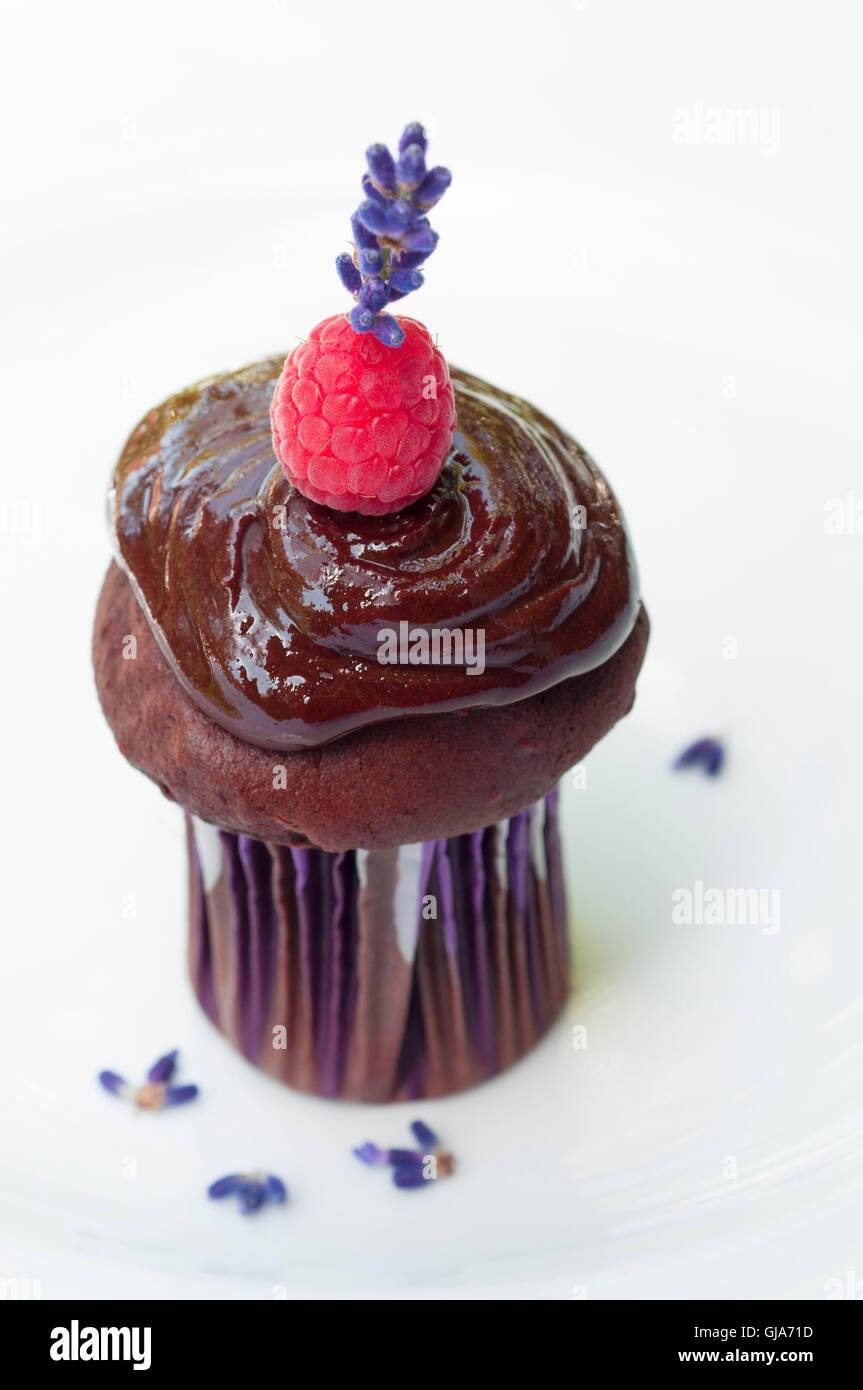 Schoko-Muffin mit Himbeeren und Lavendel Stockfoto