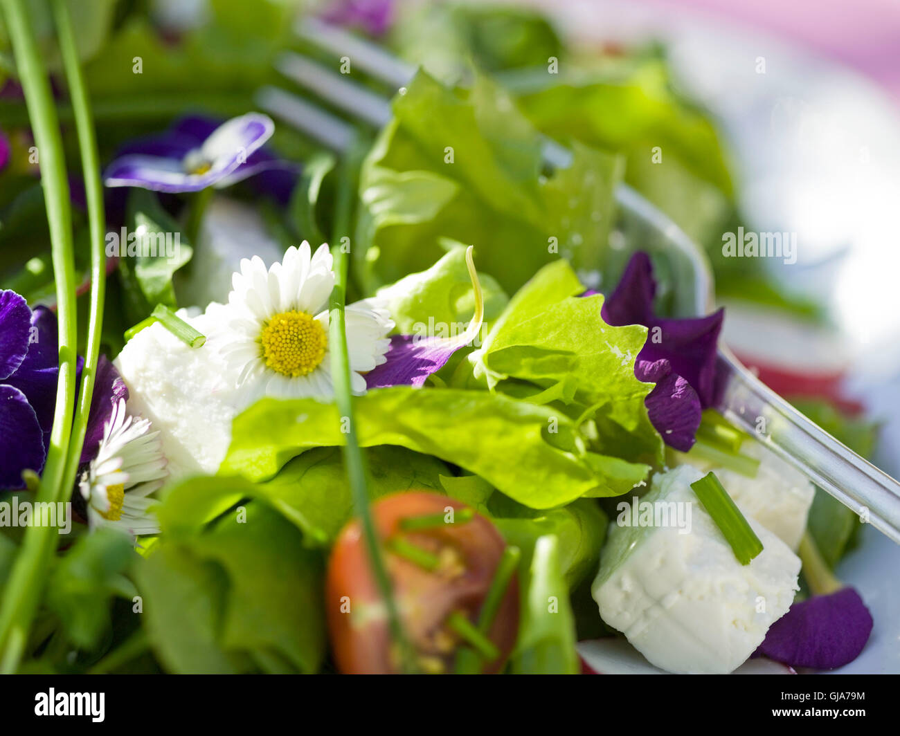 Sommersalat mit Margeriten und Stiefmütterchen Stockfoto