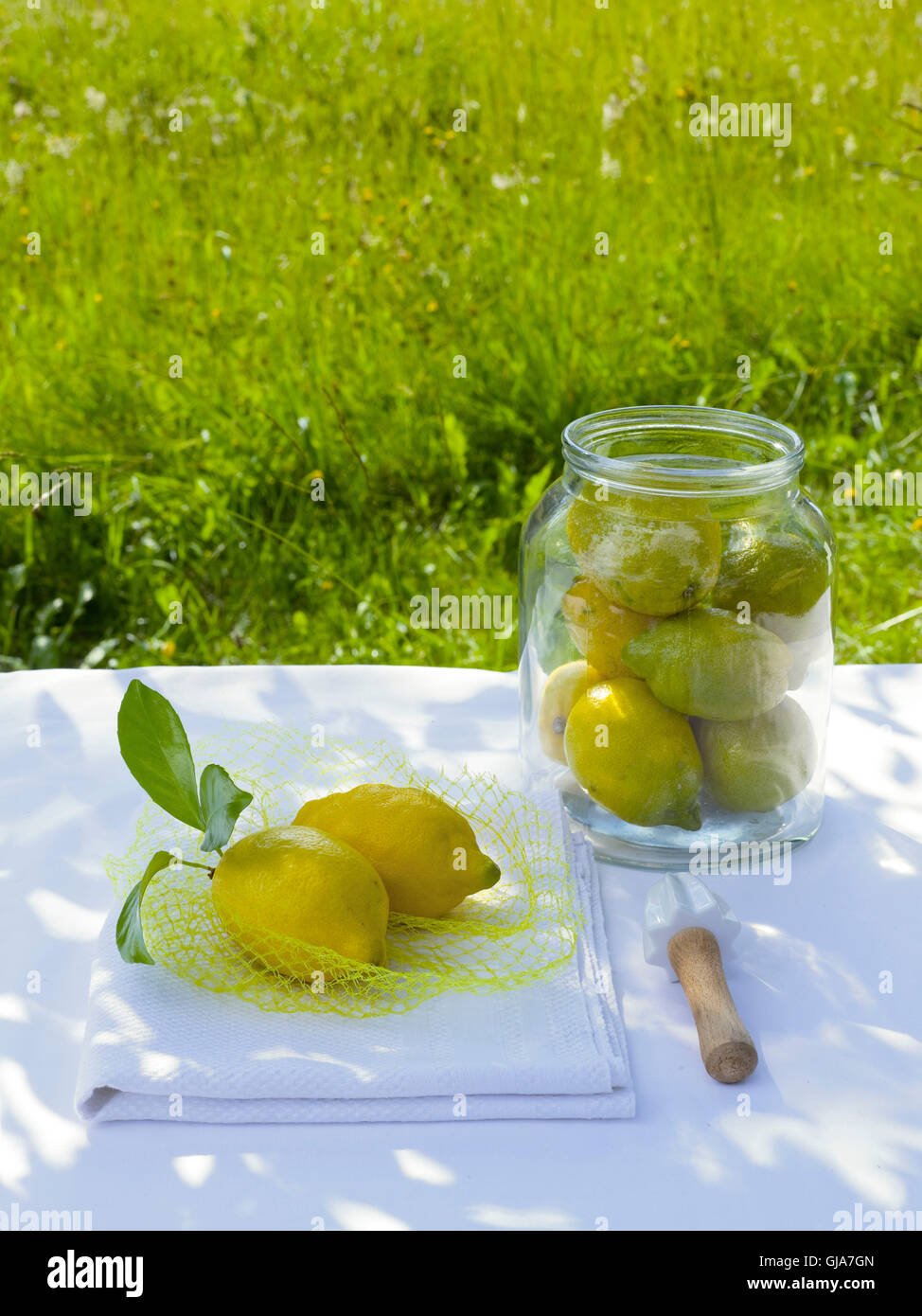 Zitronen im Glas mit Netz und Handpresse Stockfoto