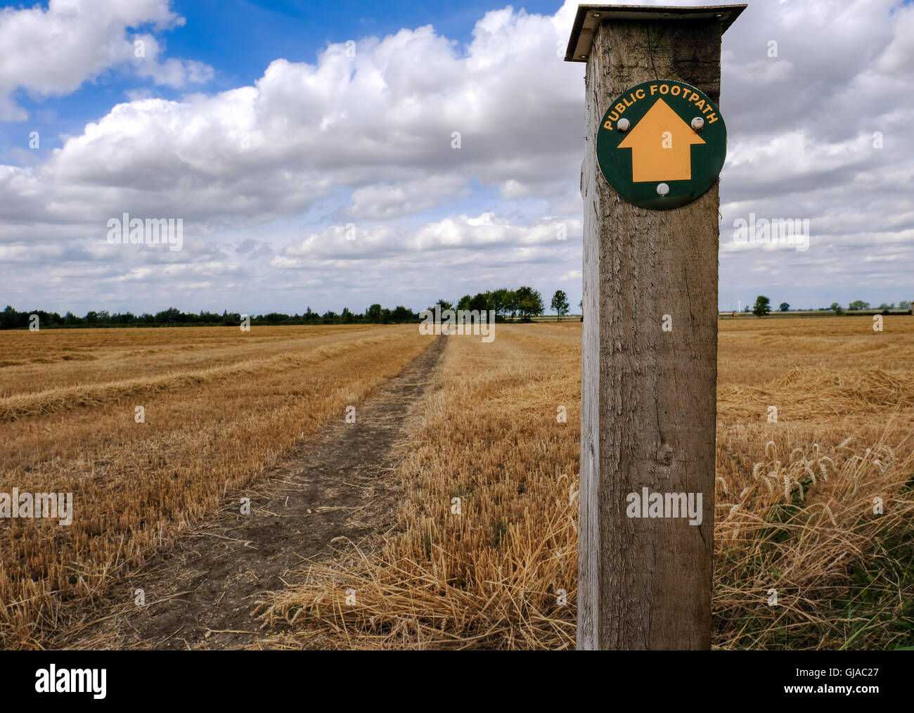 Öffentlichen Fußweg Zeichen auf einem hölzernen Pfosten in einem kürzlich geernteten Weizenfeld, zeigt auf dem natürlichen Weg zum Horizont. Stockfoto