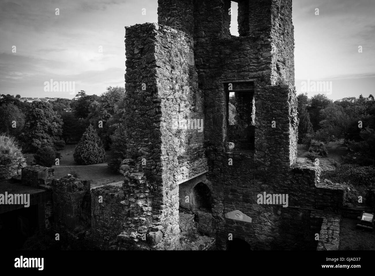 Blarney Castle, Architektur, Landschaft, Irland Stockfoto