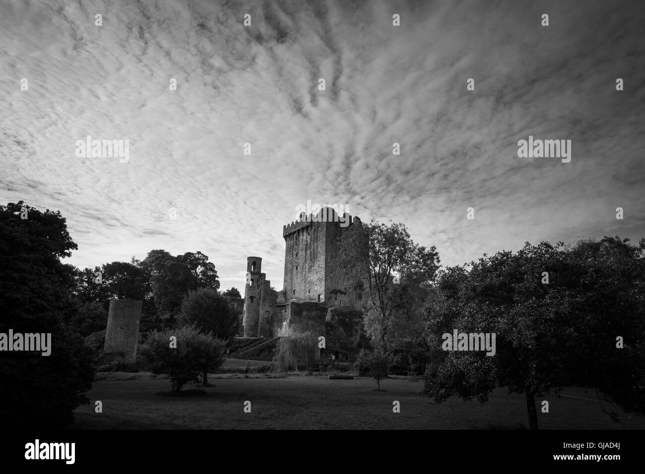 Blick zum Blarney Castle, Irland Stockfoto